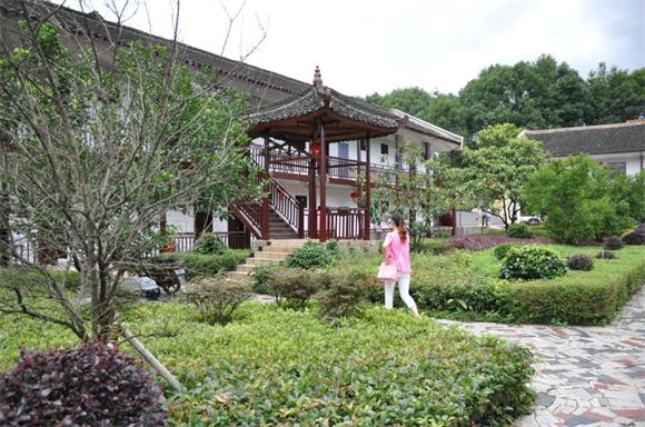 邵东翰林农庄:漫山遍野的杨梅果实鲜亮诱人