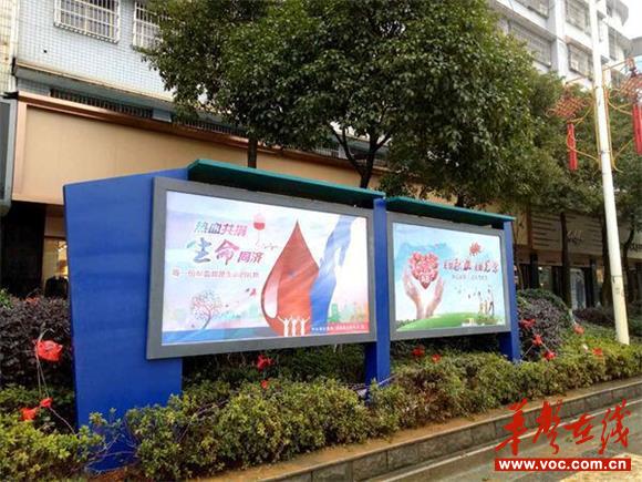 图为县委县政府门口对面的高标准红十字宣传栏_看图王.jpg