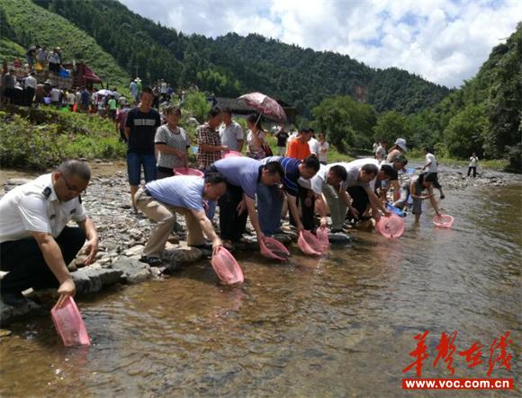 7月25日，县四大家领导及市县畜牧局负责人正在大阳放鱼。.jpg