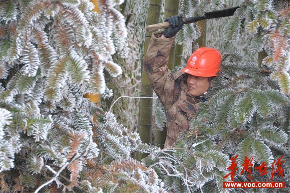 1月6日，国网邵阳供电公司供电公司员工在清理危及线路安全运行的树障.JPG