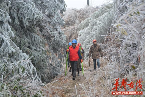 1月6日，国网邵阳供电公司员工在冰天雪地里巡视线路.JPG