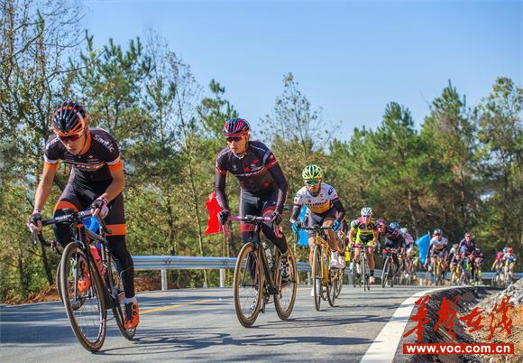 环金江湖自行车赛已成为全省山地、公路自行车爱好者目的地.jpg