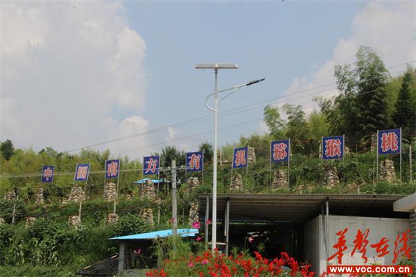 省劳模有机猕猴桃种植基地.JPG