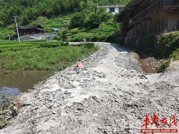 毁损道路恢复前_看图王.jpg