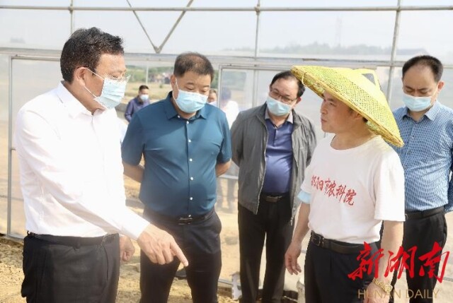 邵阳：因地制宜有效整合资源 做好“城郊农业”这篇文章