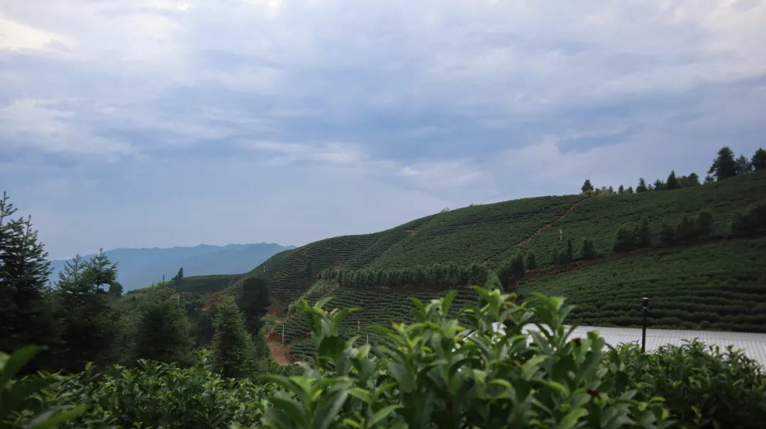 图片9.png 图片9.png