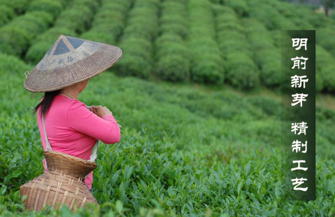 湖南红茶“十大产物品牌”之烟溪工夫红茶：无由持一碗寄予爱茶人(图2)