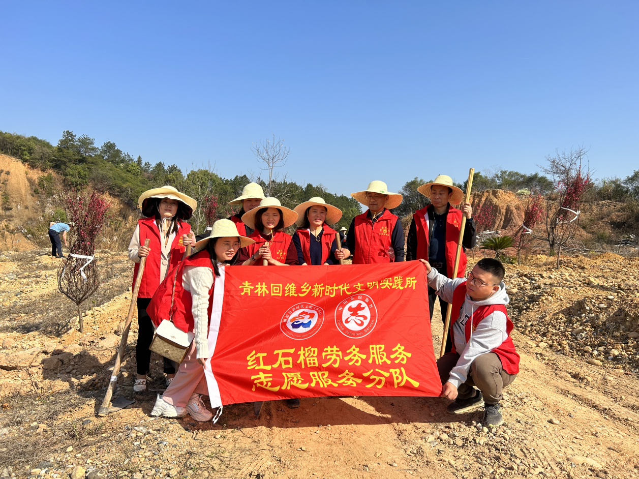 桃源县青林回维乡开展新时代文明实践志愿者植树活动