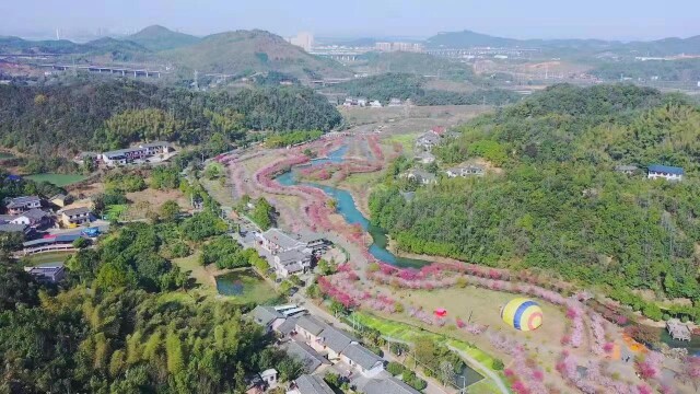 搞活“花”“水”“菜”！岳塘区丰富村民“钱袋子”有妙招