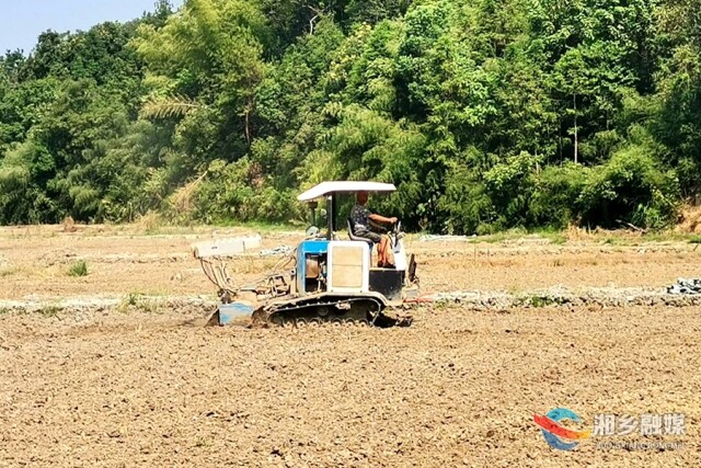 湘乡市金薮乡金薮村：秋日时令好 田间种菜忙