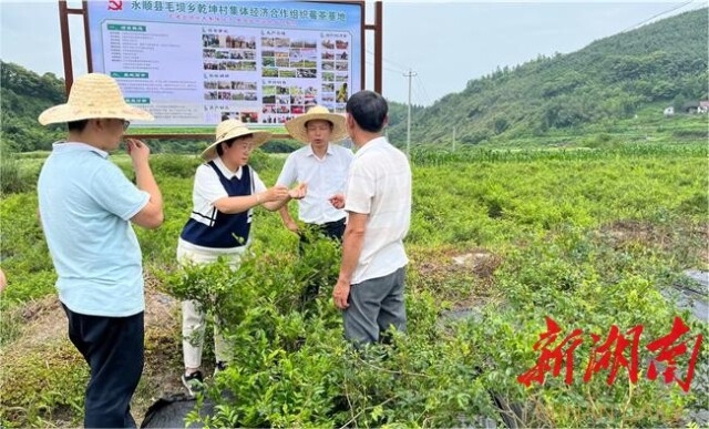 永顺县毛坝乡：抓党建促振兴 建制村集体经济强力突围