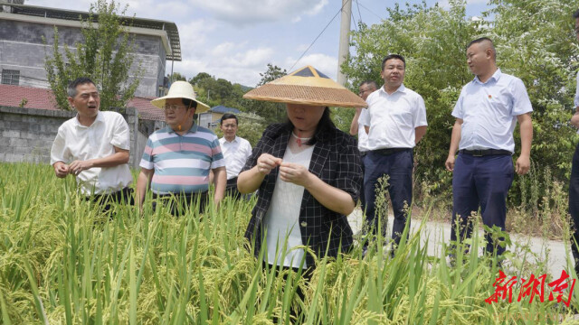 俯首解民忧 春雨润无声——龙山县奋力推进新时代信访工作纪实