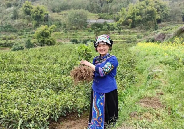 茶人专访丨张双静：与茶相伴 源自偶然 皆是必然