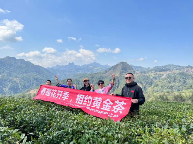 茶人专访丨张双静：与茶相伴 源自偶然 皆是必然