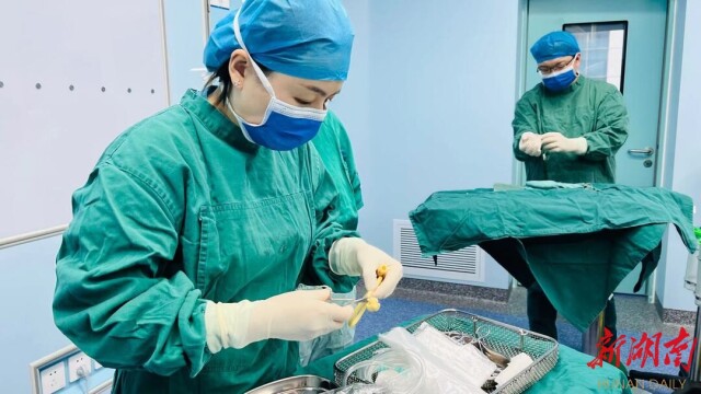 龙山县人民医院成功开展全县首例耳内镜下鼓膜修补术