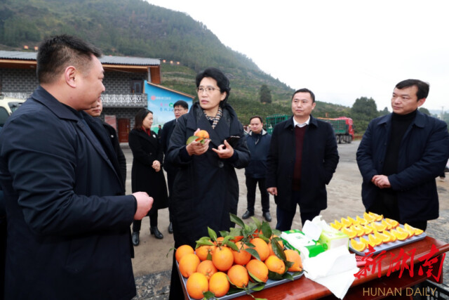 陈华在龙山县调研时强调：全力打好经济增长主动仗 实现一季度开门稳开门红