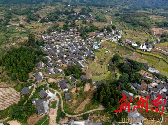 保靖县：大白岩村岩“开花”