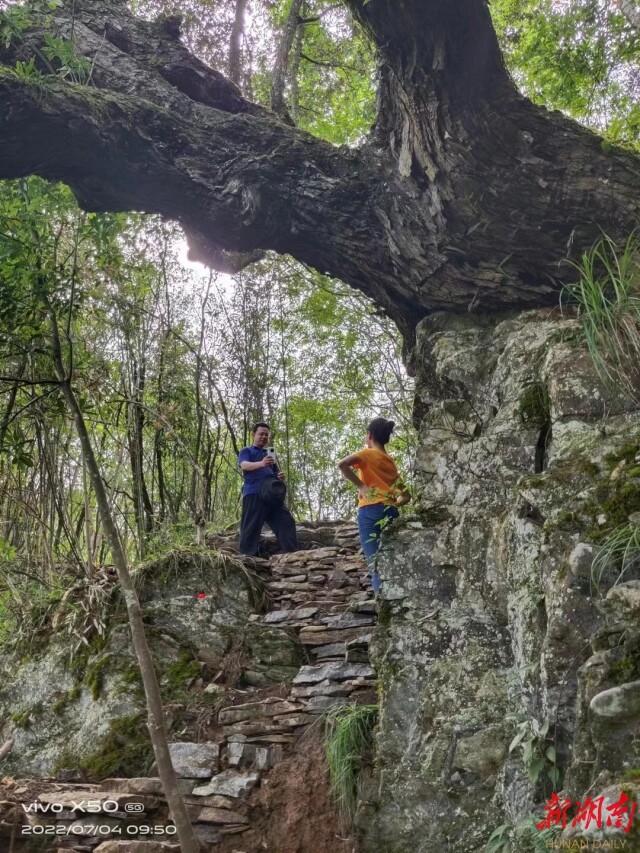 散文丨张颖：黔山风景独好