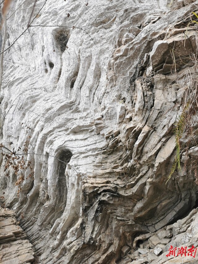 散文丨张颖：黔山风景独好