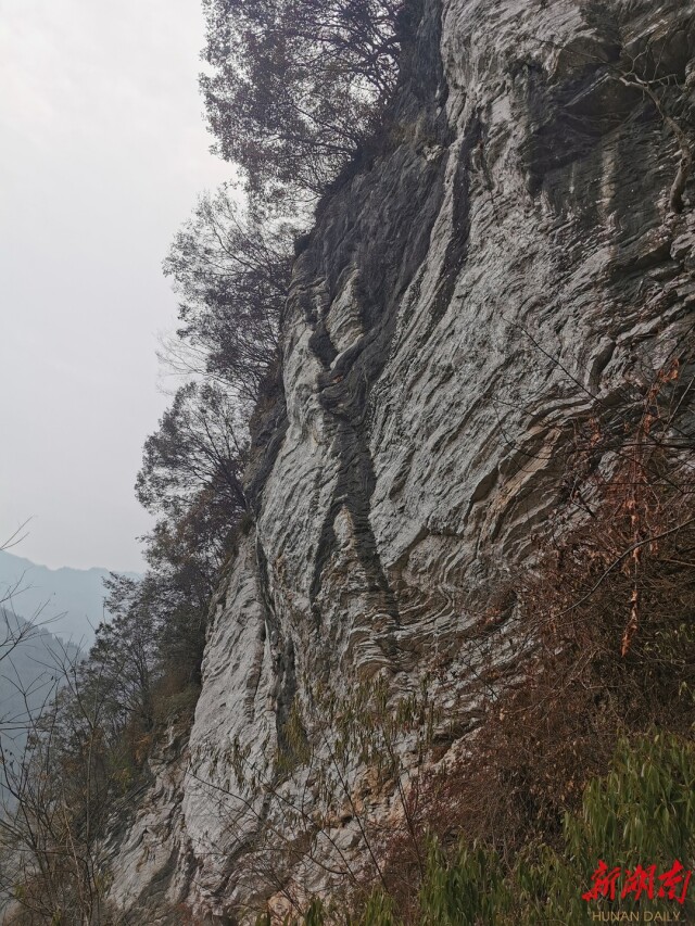 散文丨张颖：黔山风景独好