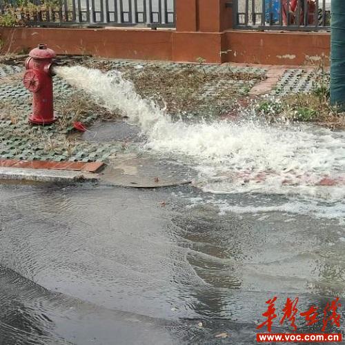 自来水2.jpg