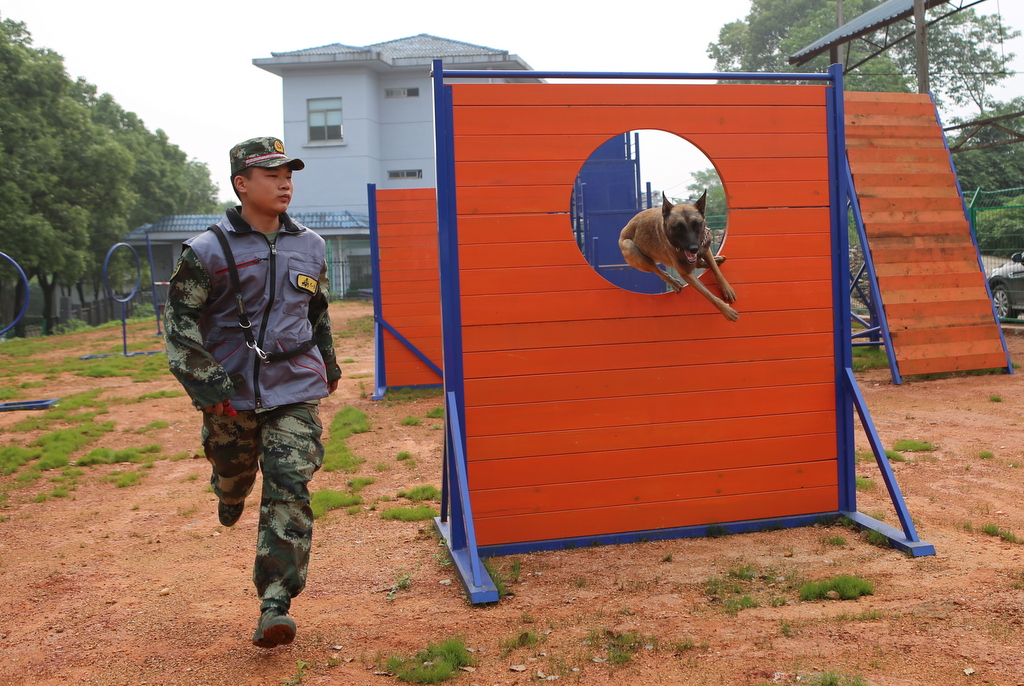 岳阳首个消防搜救犬训练基地正式成立