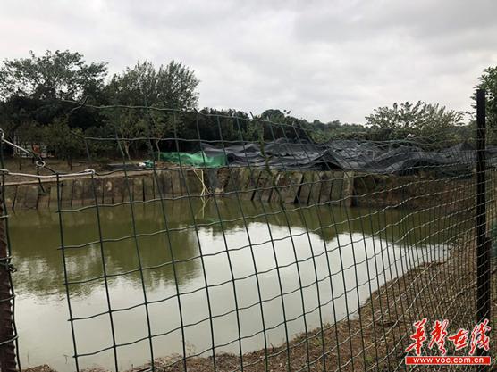对比图二：虎形山社区大桥湖旁的养鸭场拆除完毕.jpg
