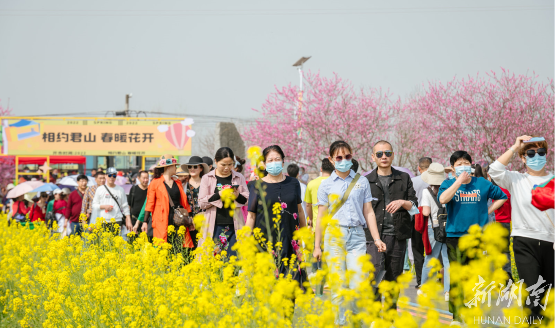 以花为媒，相约春日，君山童话王国菜花黄