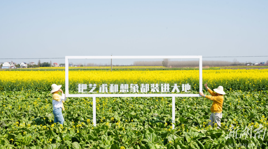 以花为媒，相约春日，君山童话王国菜花黄