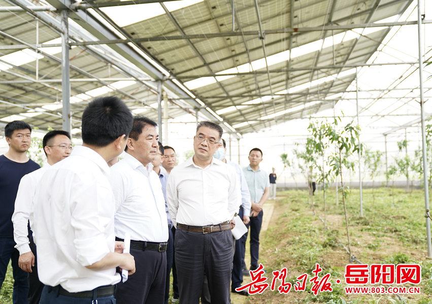 曹普华深入平江县调研督导当前重点工作
