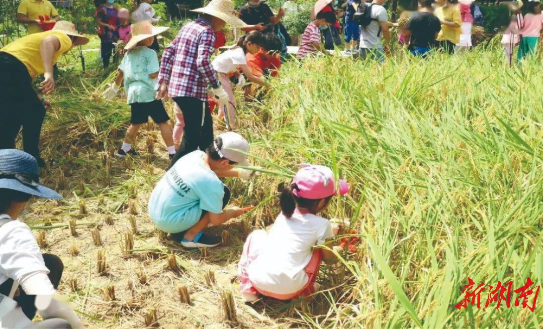 “岳”游“岳”美⑤|捉鱼、钓虾、烧烤，“蟹虾小镇”欢迎您！