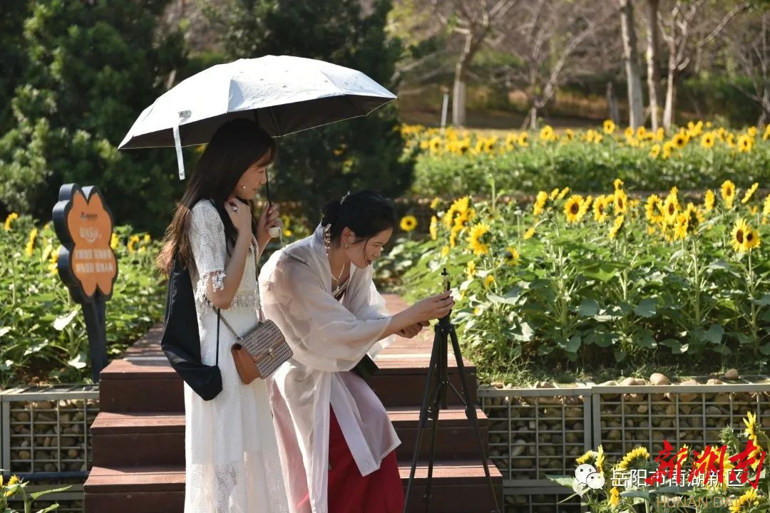 “岳”游“岳”美⑥|地上花海、天上星球、人间美好，在南湖一网打尽！