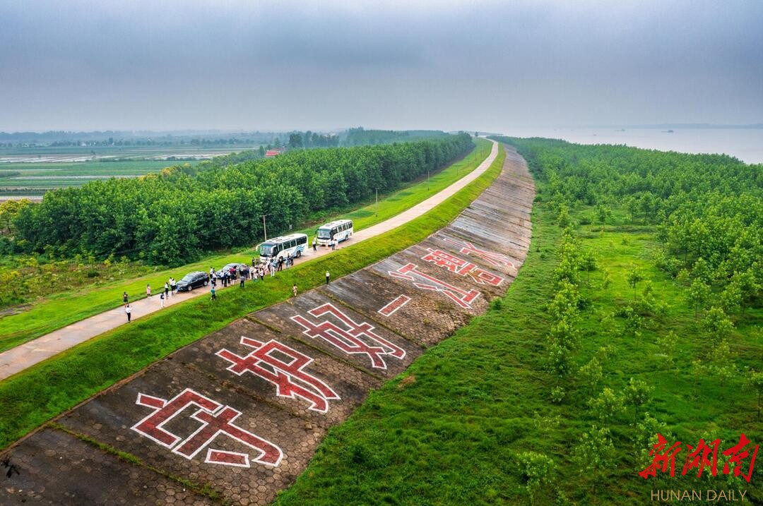 喜迎二十大｜践行“两山”理论！临湘凭什么“绿意盎然”