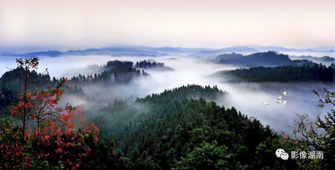 这些图片，绘出了美丽湖南的新图景！