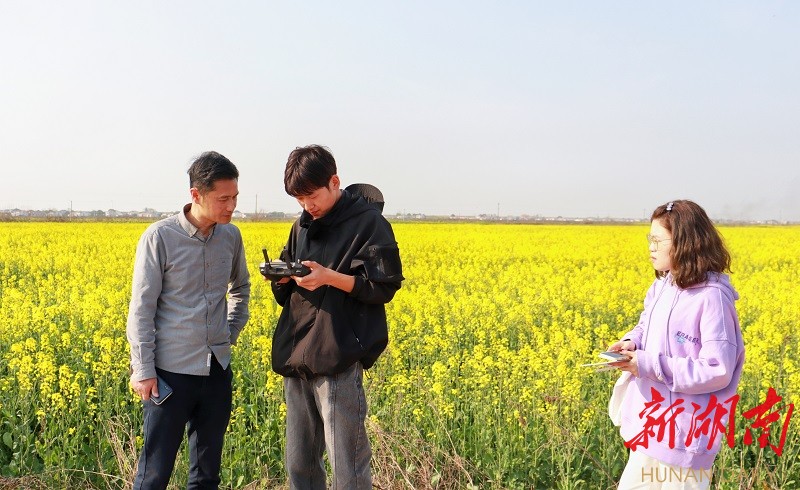 抢抓农时•春耕备播㉒｜科学耕种！汨罗油菜迎丰收