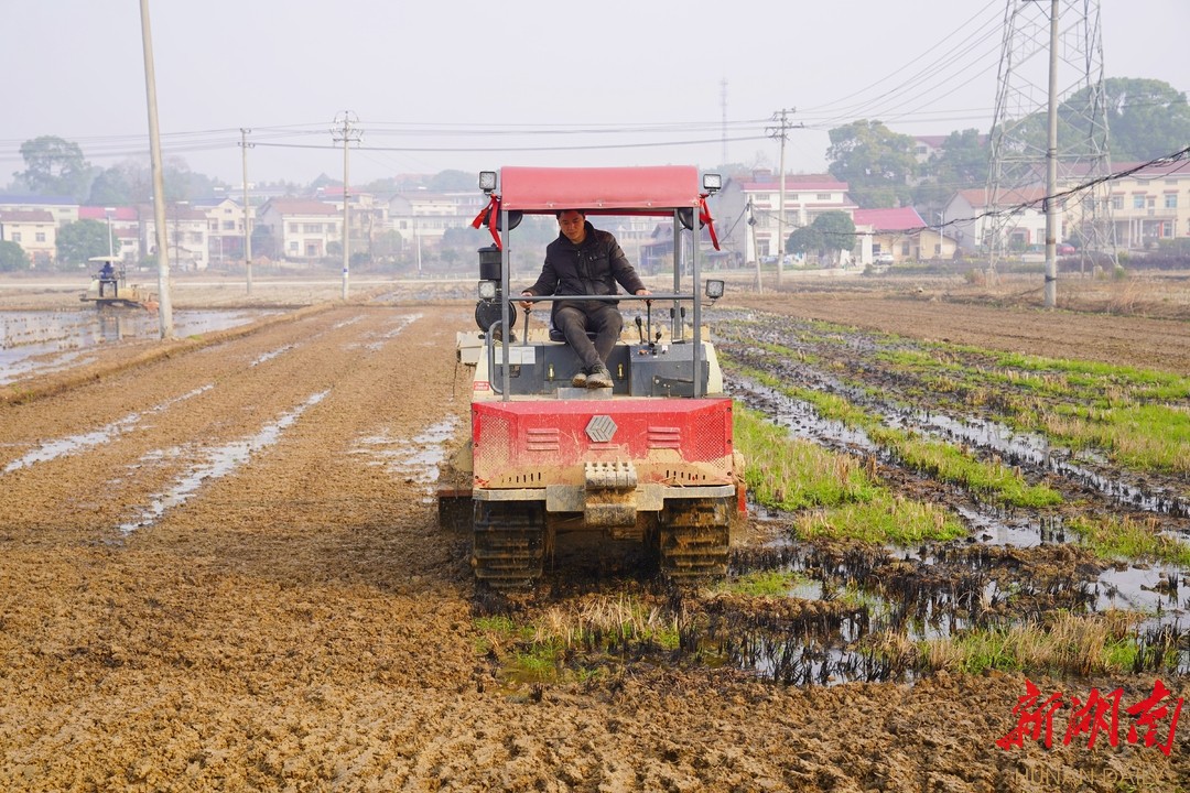 抢抓农时·春耕备播㉓|云溪今年计划完成粮食种植总面积5.4万亩