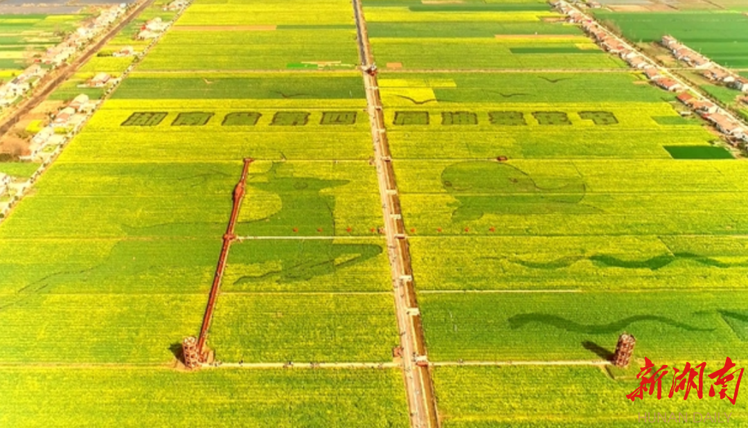 10年10届，这个节凭什么越办越火？