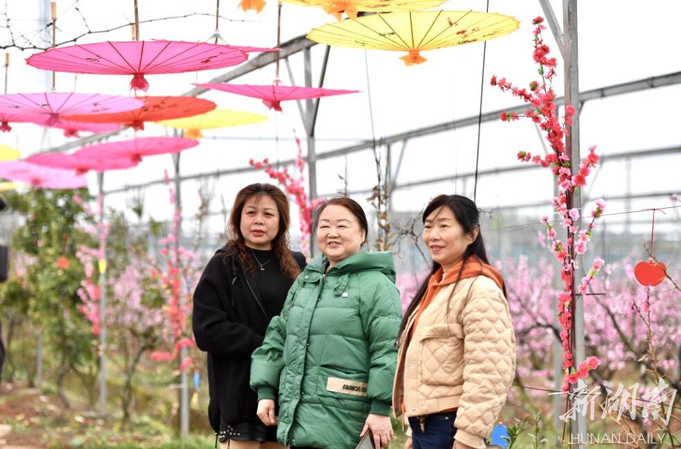 湘阴桃李芬芳踏春季｜荒山变果园，惹得游人醉