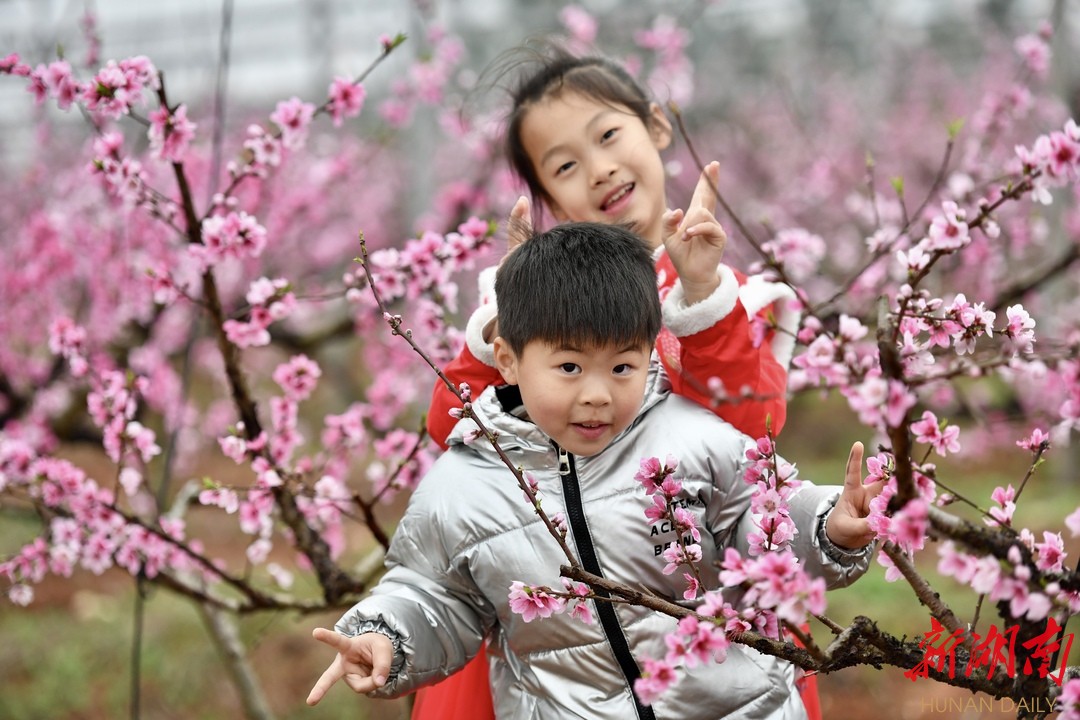 桃花红菜花黄，佳人有约到东塘！2023湘阴桃李芬芳踏春季火热启幕