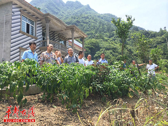 市法院甄建堂局长赴慈利踏查执行现场 03.jpg