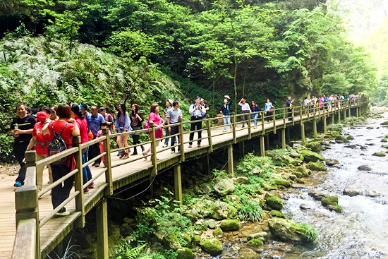 张家界大峡谷风景区暑期旅游火热.jpg