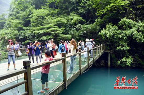 游客体验张家界大峡谷玻璃附桥.jpg