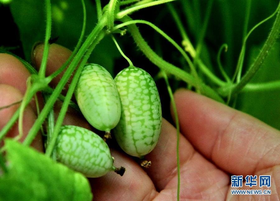 点击浏览下一张