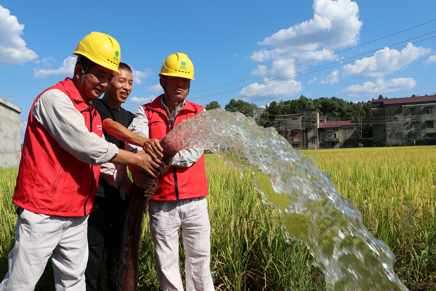 渌口区2000余块抽水表让干涸水稻喝上“及时水”