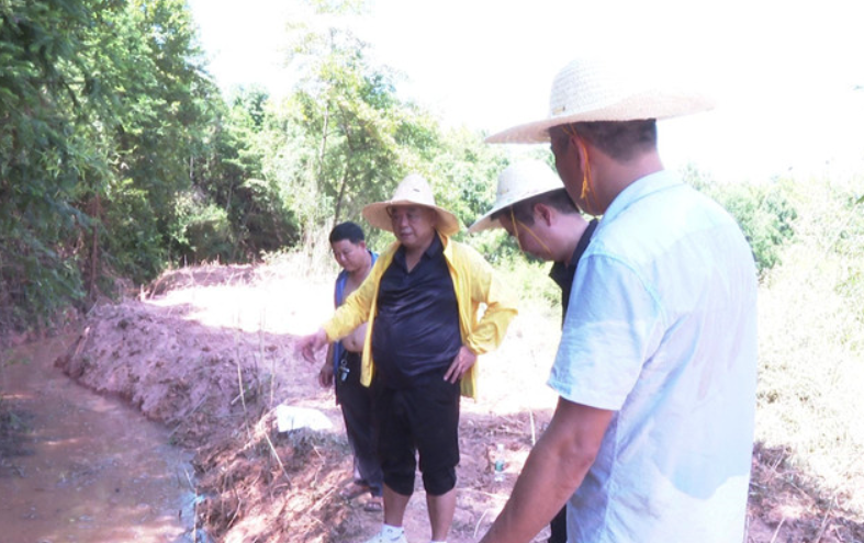 渌口区渌口镇：干群齐心修渠引水 全力守护万亩农田