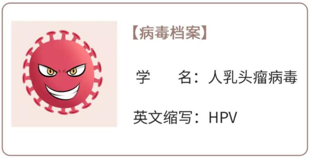 hpv1.png