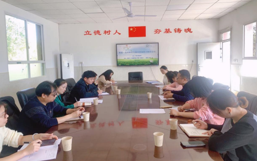 芦淞区枫溪·选青教育发展共同体举行数学联点教研活动