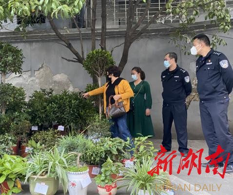 茶陵公安破获一起盗窃盆栽案