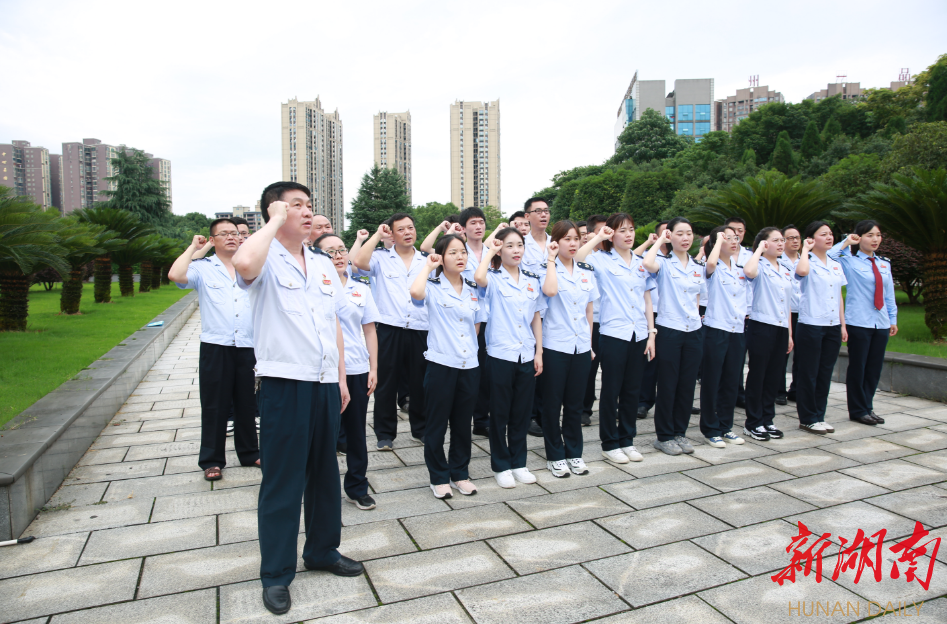 让党旗在税收一线高高飘扬——攸县税务局探索“党建+”融合新模式