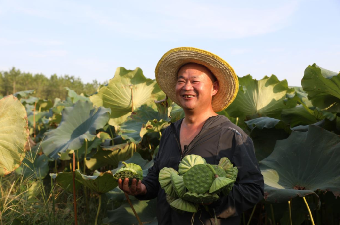 “十里荷塘”复清记